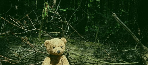 philwald08 philwald08