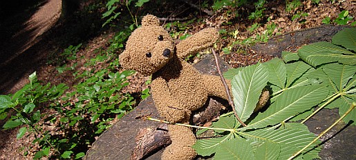 philwald20