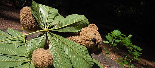 philwald24