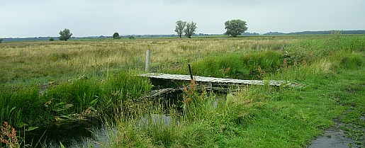 pol23