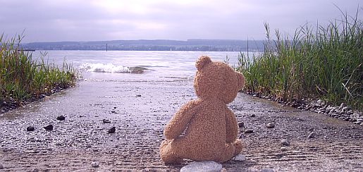hoernle_welle