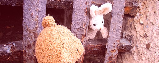 RJ_03