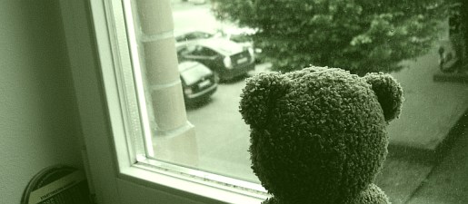 fenster001