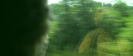 wolz_01