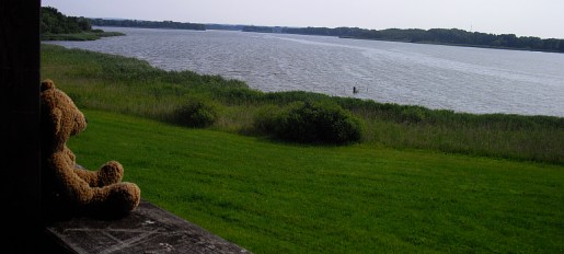 wolz_11