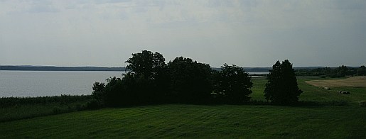 wolz_12