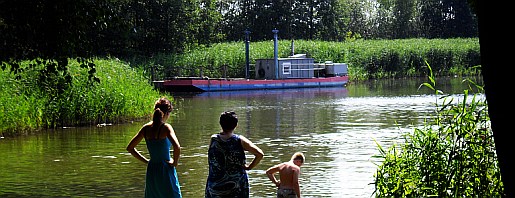 wolz_13