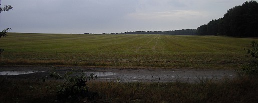 wolz_15