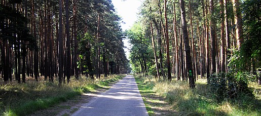 wolz_18