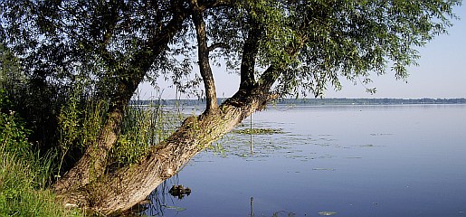 wolz_25