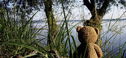 wolz_26