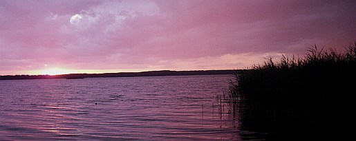 wolz_28