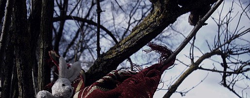 back06