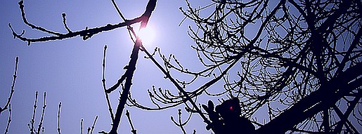 sonne02