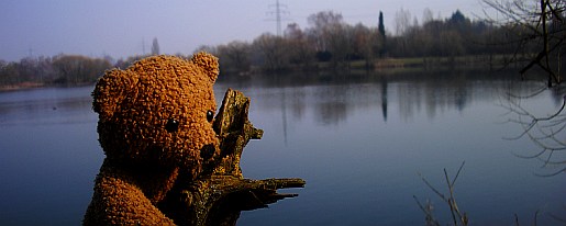 see4