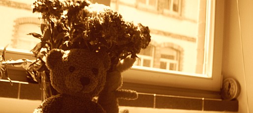 blumen2