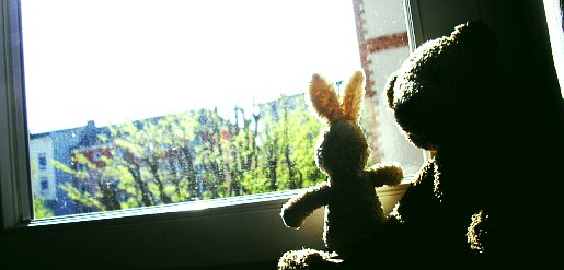 fenster1