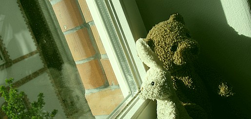 fenster3