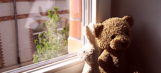 fenster5