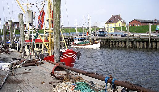 pewo19