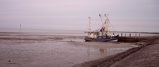 pewo34