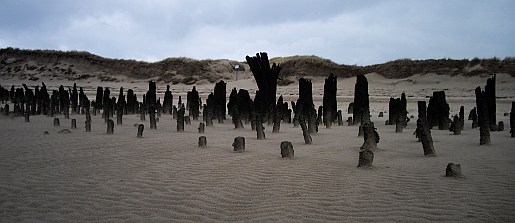 2018_11
