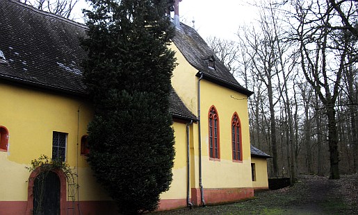 engel15