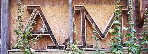 not_an00