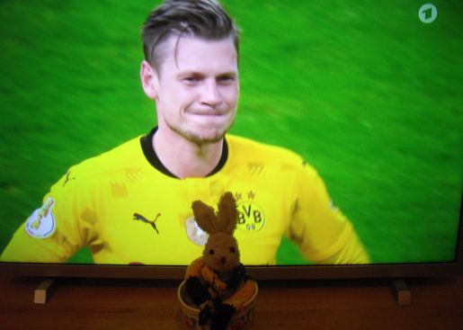 kleben_bvb
