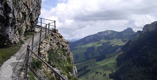 neu_08