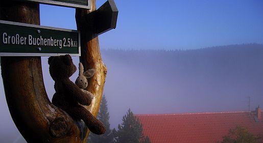 neu_13