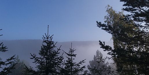 neu_14