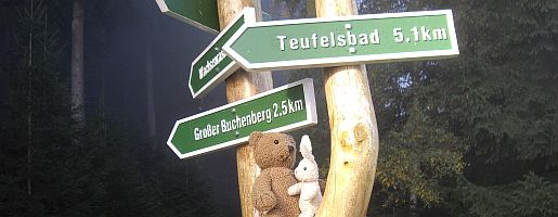 neu_15