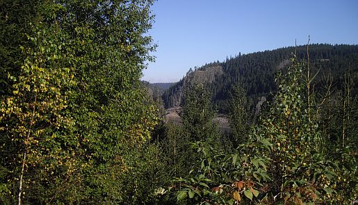 neu_16