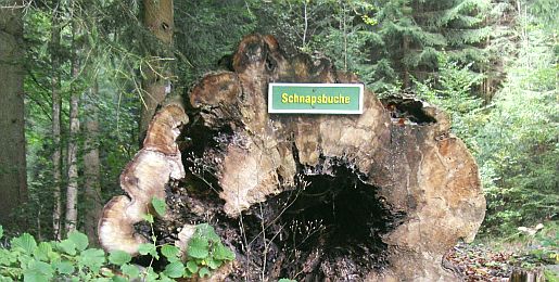 neu_20
