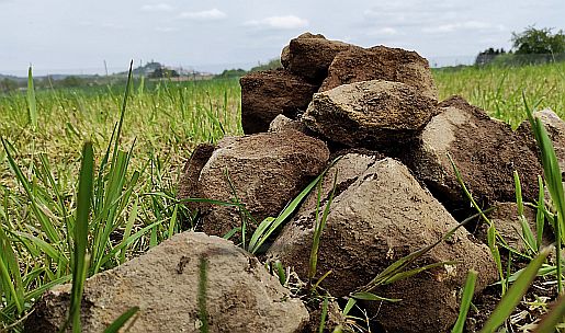 pfade019