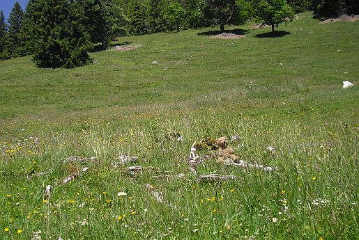 garten09