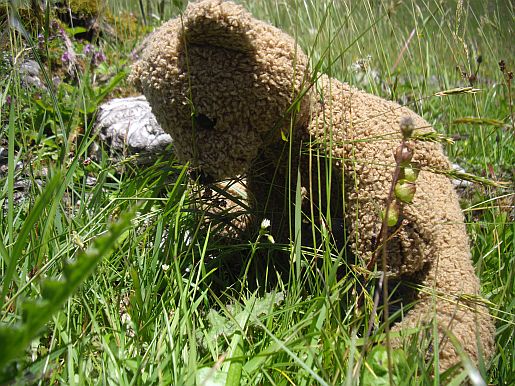 garten14