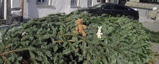 wallo_17a